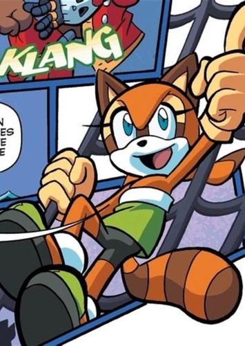 Marine the Raccoon
