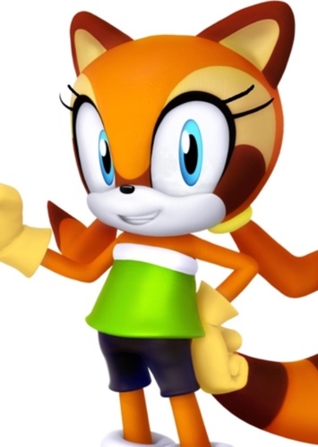 Marine the Raccoon