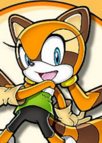 Marine the Raccoon (Middle-Aged/Elderly)
