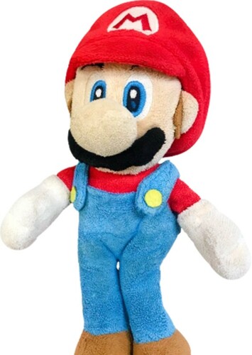 Mario (CrazyMarioBros)