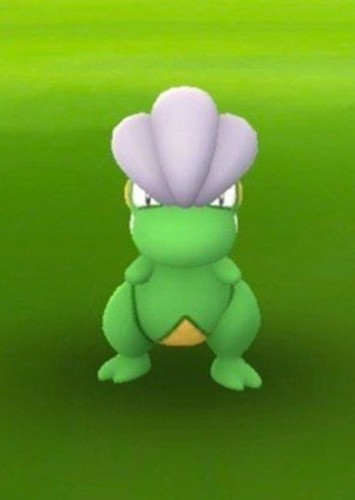 Mario's Bagon
