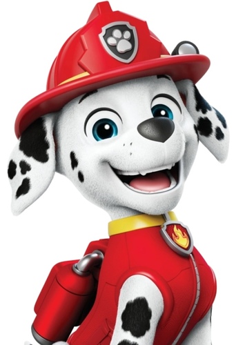 Marshall