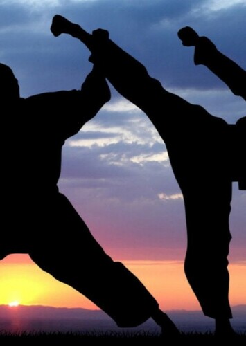 Martial Arts