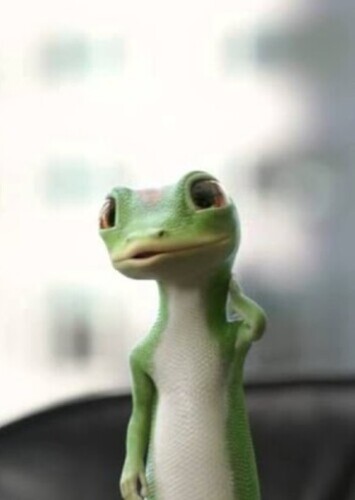 Martin the Geico Gecko