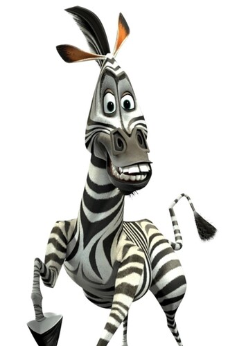 Marty The Zebra