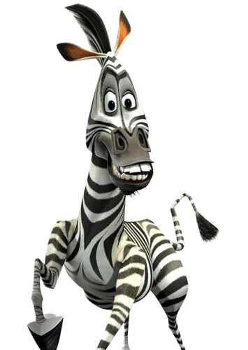 Marty The Zebra