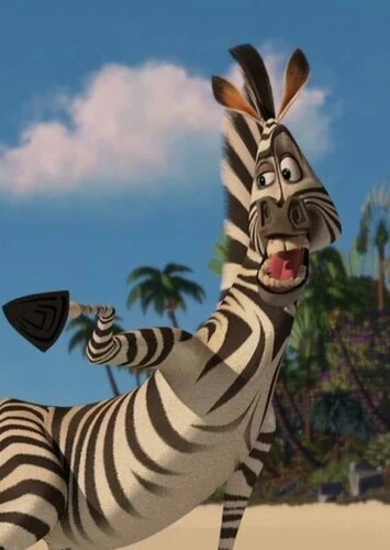 Marty The Zebra