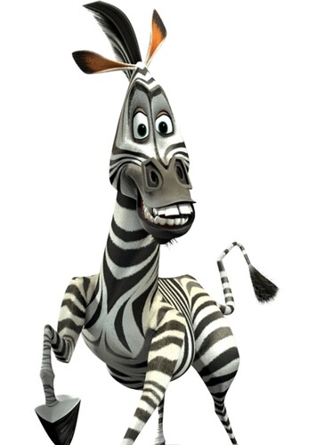 Marty the Zebra