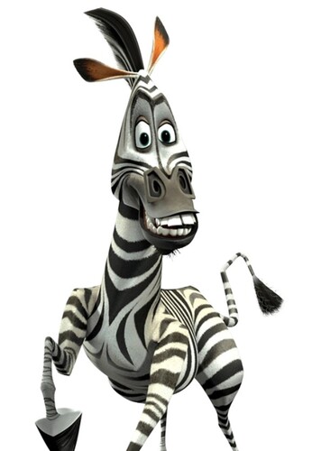 Marty the Zebra