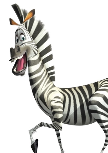 Marty The Zebra