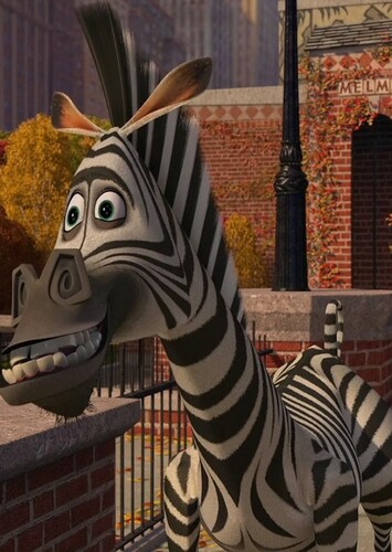 Marty The Zebra