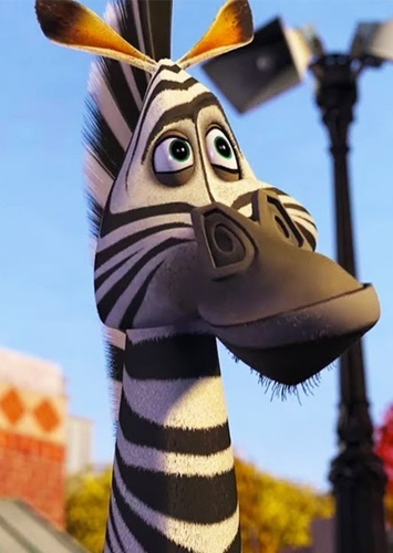 Marty the Zebra