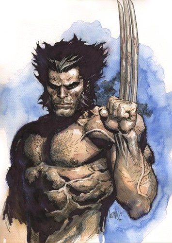 [Marvel]"Wolverine"