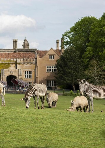 Marwell Zoo