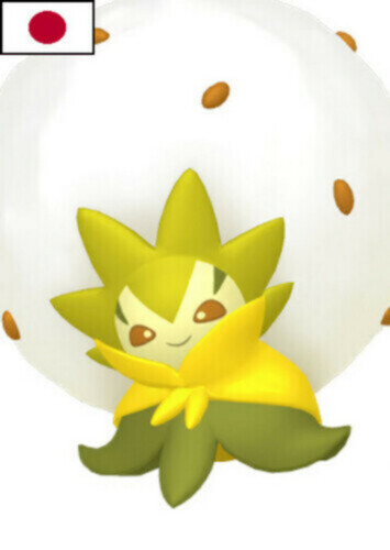Maryam's Eldegoss (Japanese)