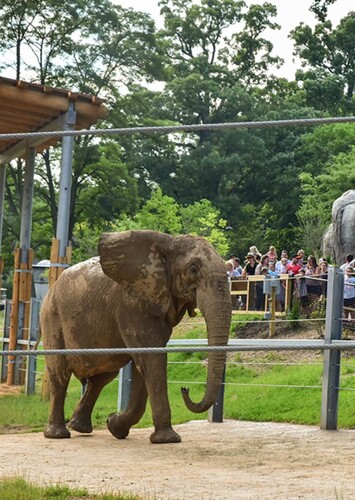 Maryland Zoo in Baltimore