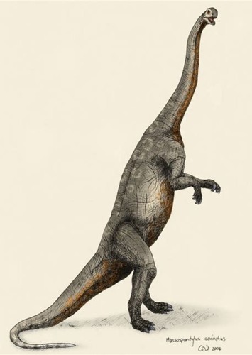 Massospondylus