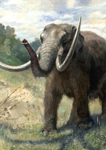 Mastodon
