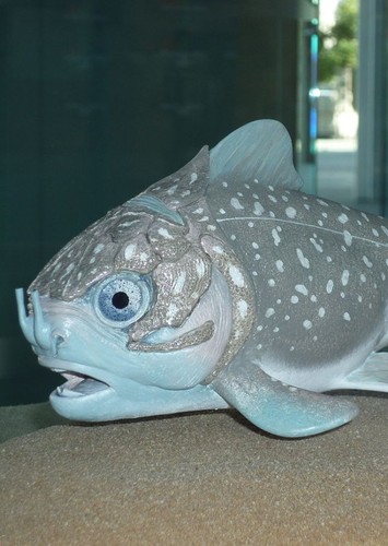 Materpiscis