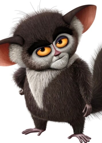 Maurice the Aye-Aye