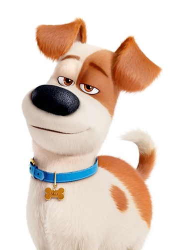 Max