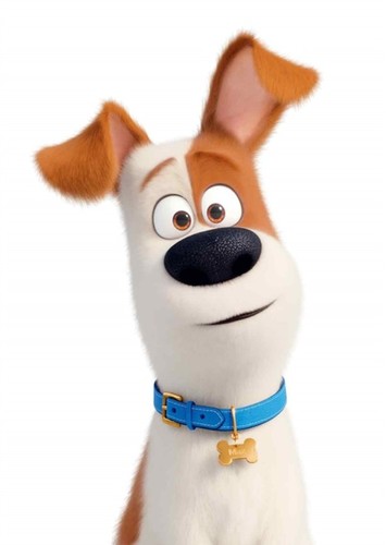 Max