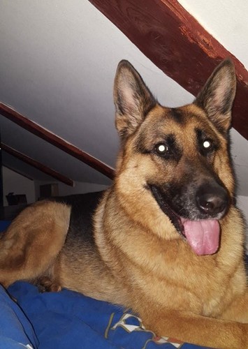 Max