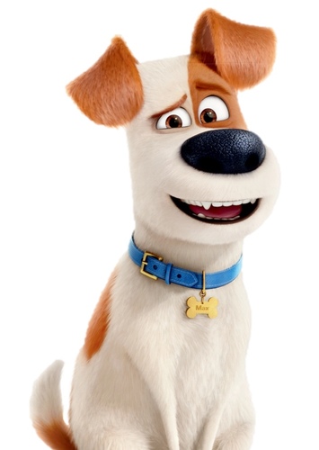 Max