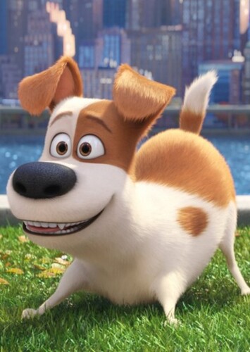 Max