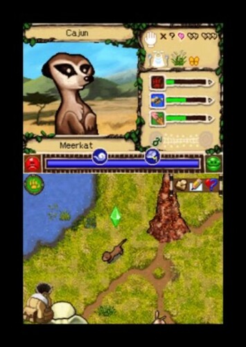 Meerkat