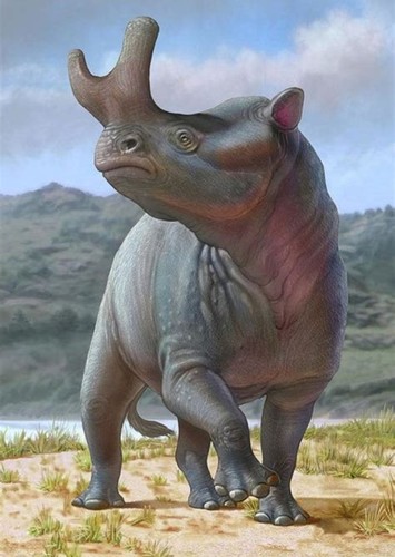 Megacerops