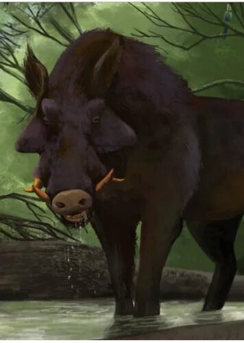 Megalochoerus