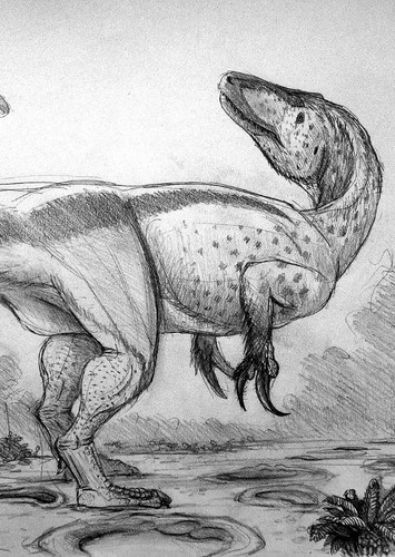 Megaraptor
