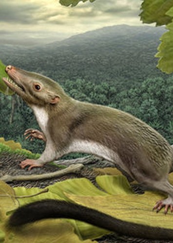 Megazostrodon
