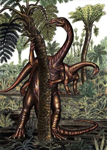 Melanorosaurus