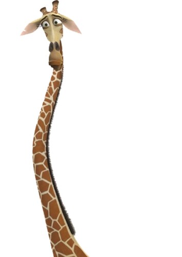 Melman The Giraffe