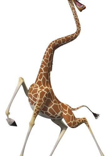 Melman the Reticulated Giraffe