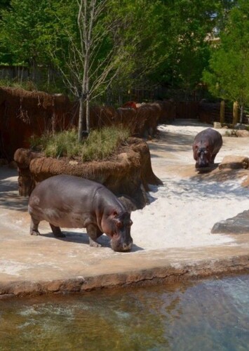 Memphis Zoo
