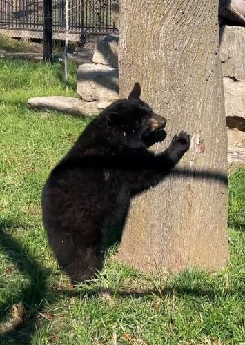 Menominee Park Zoo