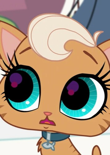 Meow-Meow