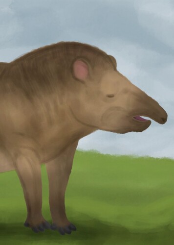 Merriam’s Tapir