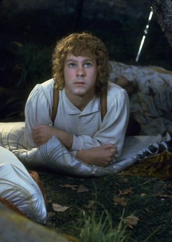 Merry Brandybuck