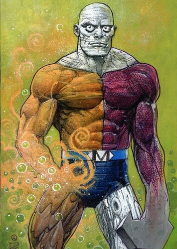 Metamorpho
