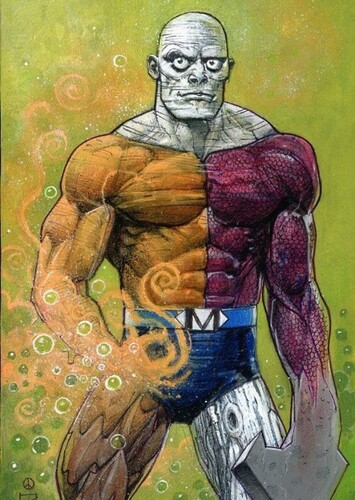 Metamorpho