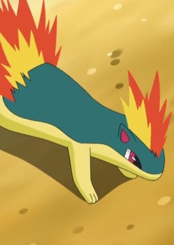 Mighty's Quilava