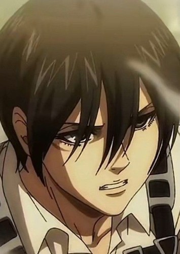 Mikasa Ackerman (Future)