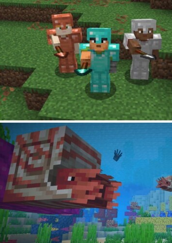 Minecraft 1.21.11