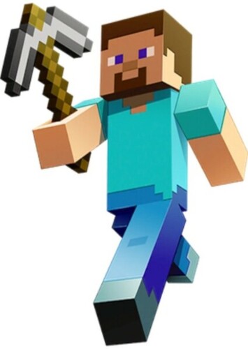Steve