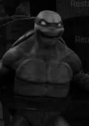 Mirage Raphael