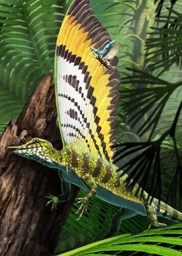 Mirasaura